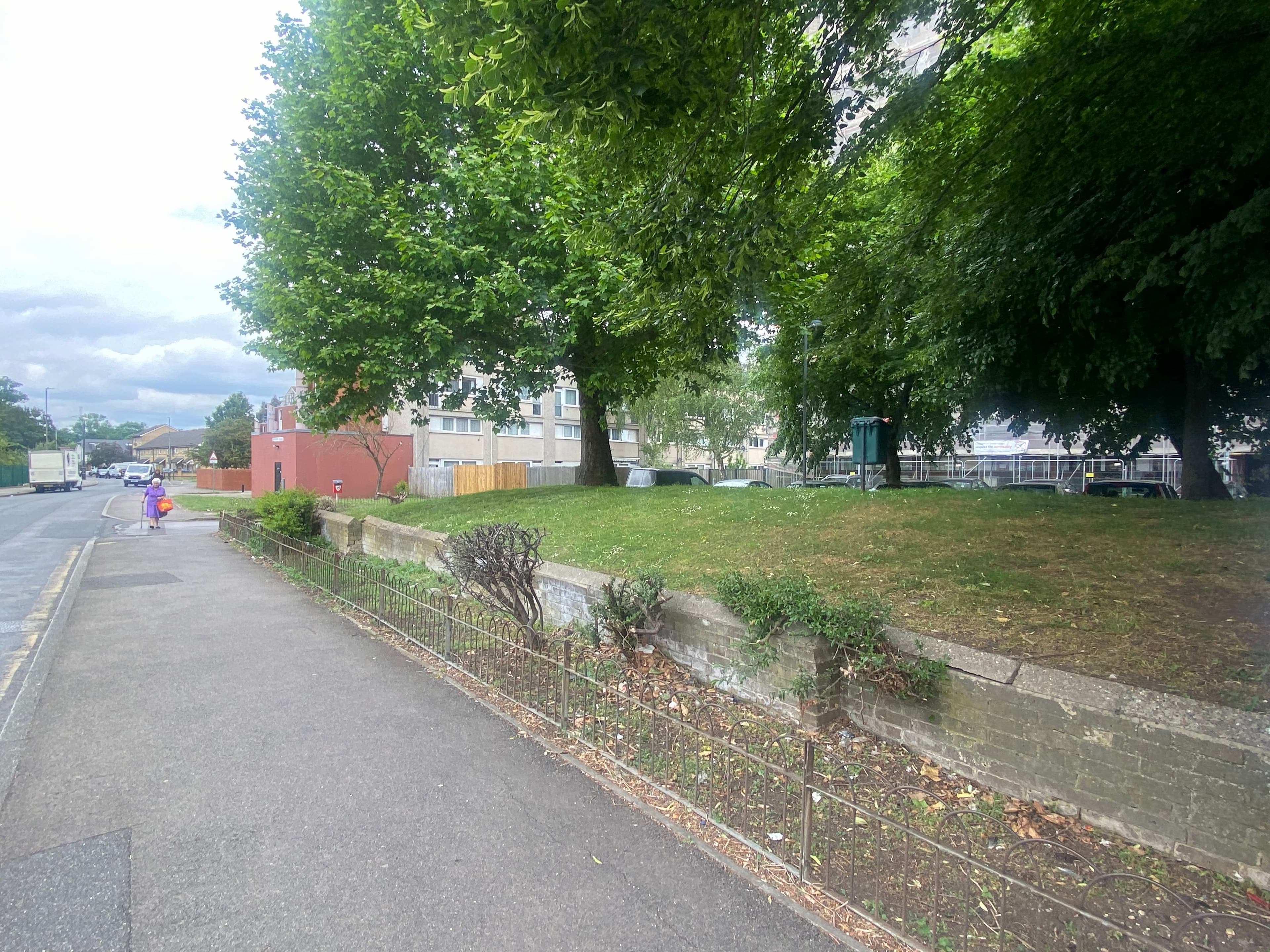 Image of footpath and trees