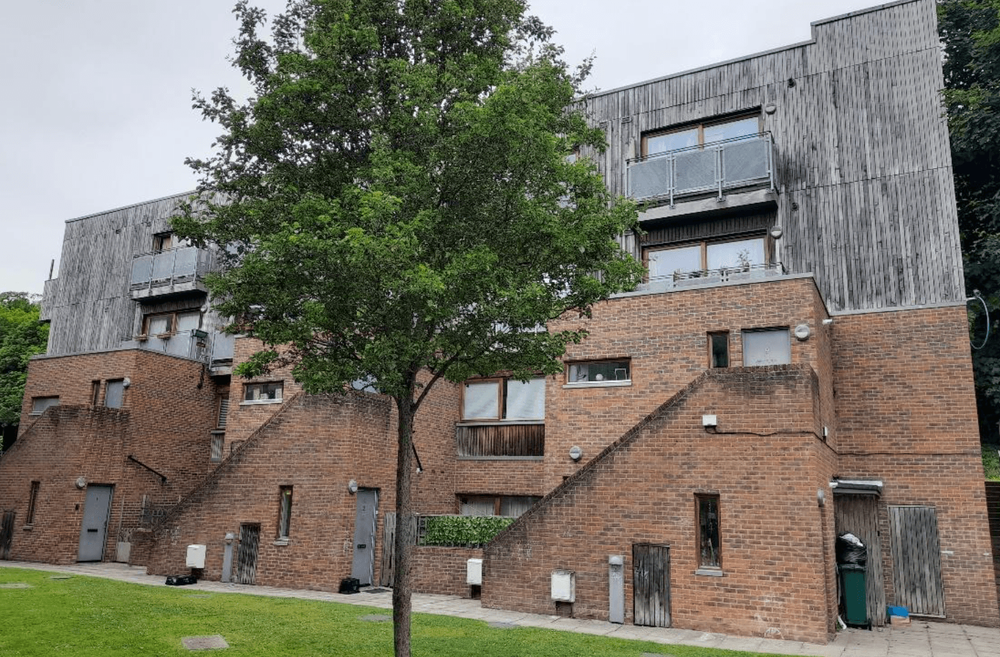 woodland view building